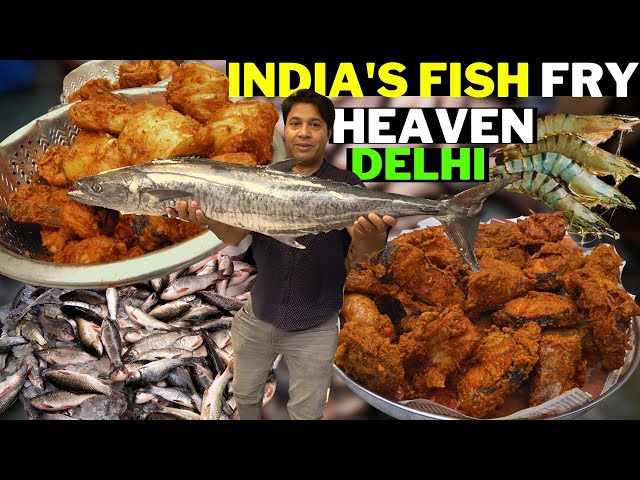 India's fish fry heaven Big fish breakfast early morning ghazipur mandi seafood delhi street food