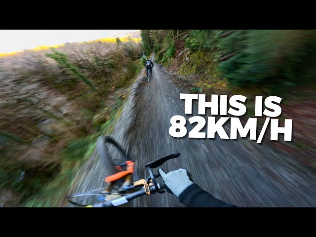 This Is Why I Travel To The UK! | DYFI BIKEPARK