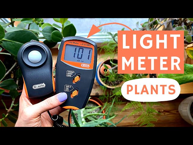 HOW TO USE LIGHT METER FOR PLANTS?