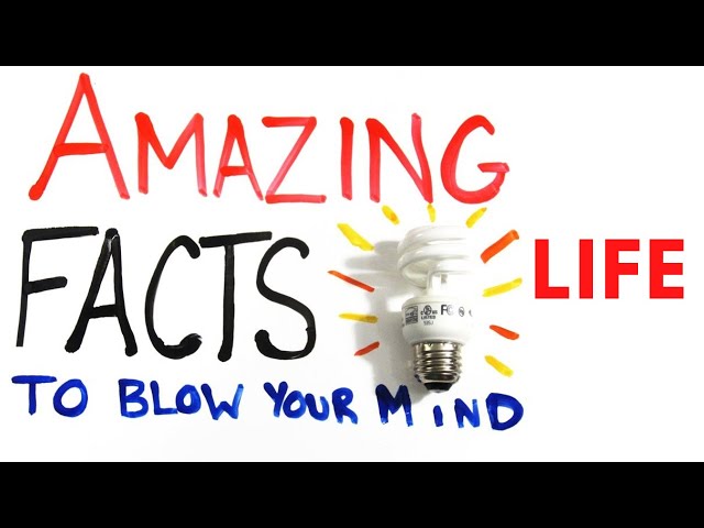 Amazing Facts about Life | psychology in hindi | facts | amazing facts @YouTube @YouTubeViewers