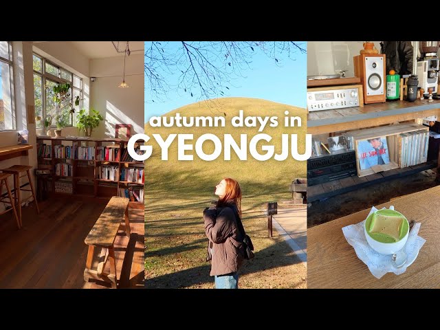 autumn in gyeongju 🌾 bookstores, new cafes, solo travel outside seoul, korea vlog