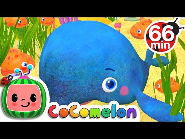 Baby Blue Whale Song + More Nursery Rhymes & Kids Songs - CoComelon