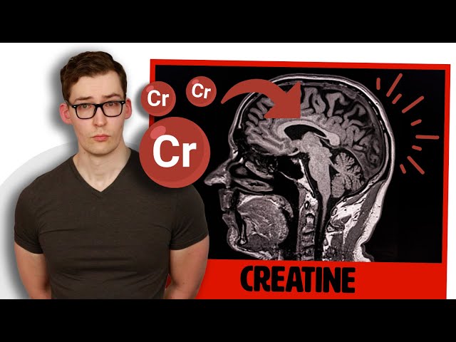 Creatine’s Multiple Brain Effects