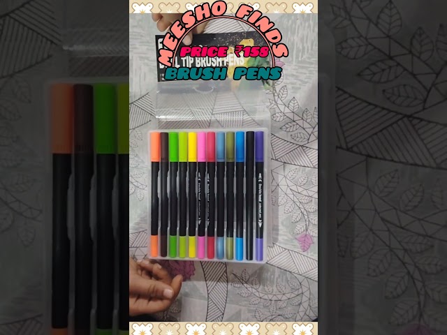 Meesho finds cute dual brush pens ✒️🖌 #meesho finds #smm followers #drawing # songs #shorts viral