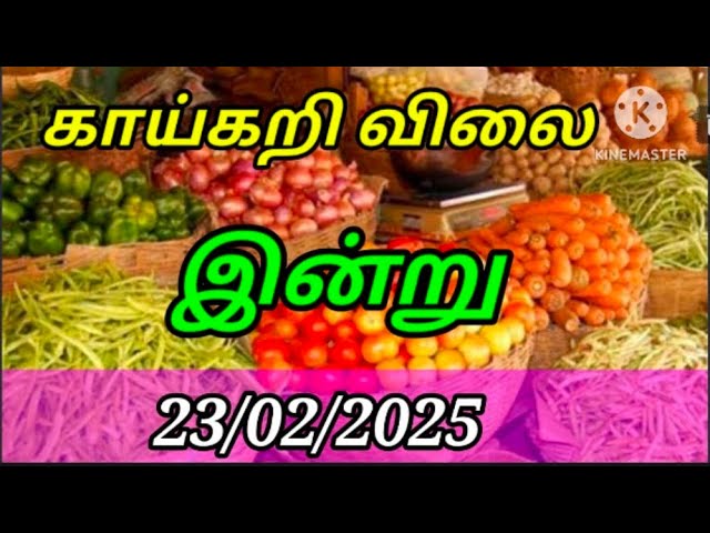 Today vegetables price in Chennai 23/02/2025 | Tamil | இன்று காய்கறி விலை??? Today Vegetable