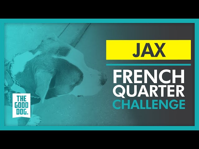 French Quarter Challenge | Jax | The Good Dog Training