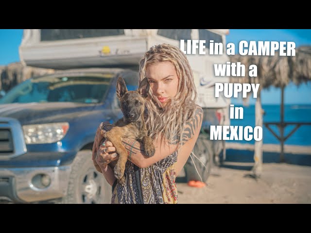 a new Puppy, a truck Camper, and Mexico... (life lately)