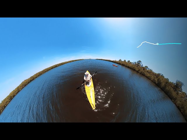 Paddle Manatee - Colony Cove to Ft Hamer - 2024-04-17 - 07/10