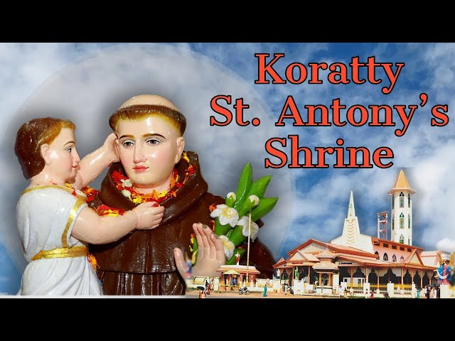 06:30am | H0LY MASS : WEDNESDAY  19th  FEBRUARY 2025  ST.ANTONY 'S SHRINE KORATTY.