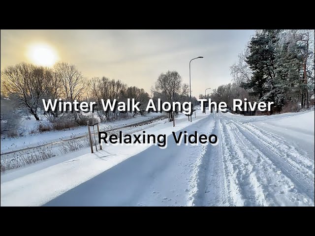 Winter Walk Along The River (Relaxing Video)