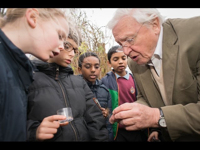 David Attenborough - Conserving Wonder