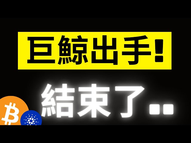 比特幣急跌6000美金! 現貨交易所的大鯨魚比例非常高..散戶時代結束了! 貝萊德卻大量流入!? #eth #ada