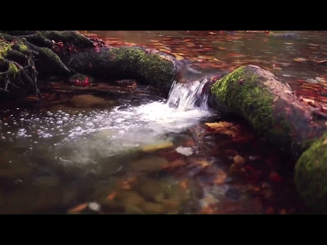 River creek calming sound, relaxing music of nature, soothing sound for sleep, spa and study.