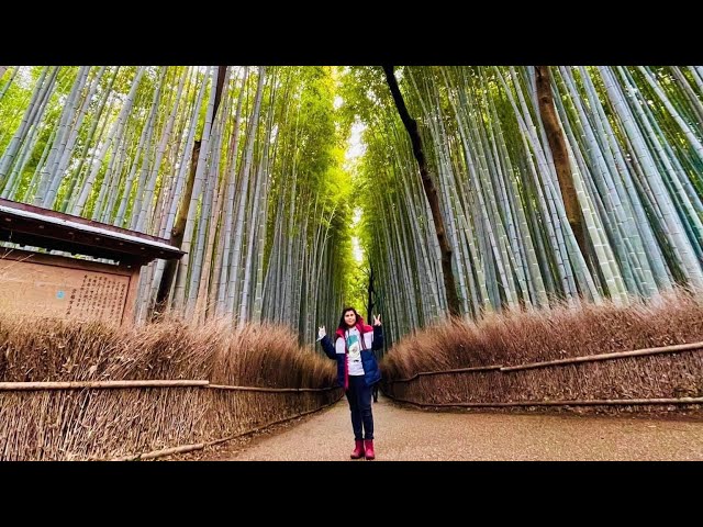 Arashiyama Bamboo Grove | Kyoto | Japan | Travel | Bamboo Forest |Travel Vlog | Kyoto | Japan