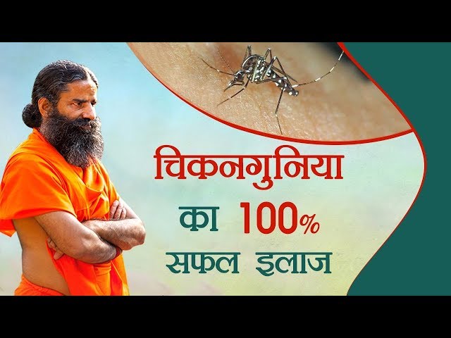 चिकनगुनिया का 100% सफल इलाज | Swami Ramdev