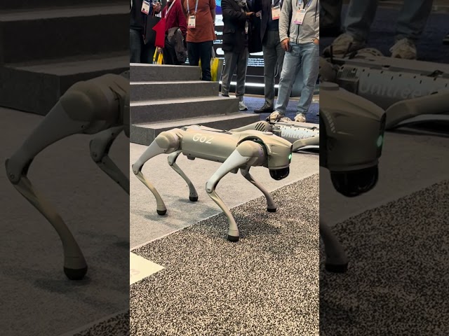 Unitree GO2 Robot Dog at CES 2024