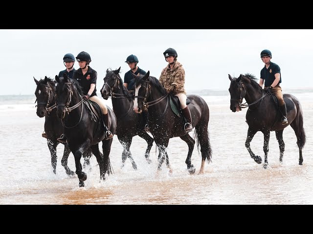 360 video: Household Cavalry on Holkham Beach