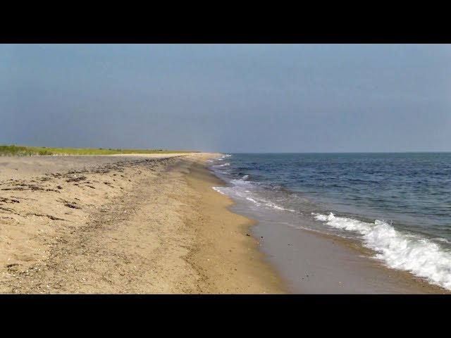 MV Bucket List: Exploring Cape Pogue