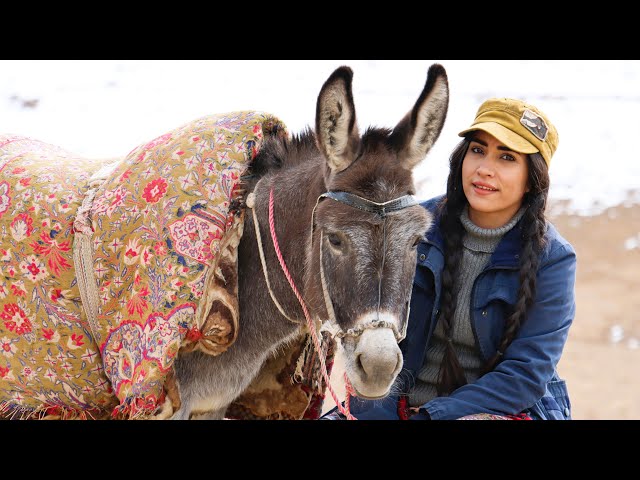 👧 🐎 Village Girl Riding a Donkey | Collecting Firewood for Rustic Cooking | Episode 0056