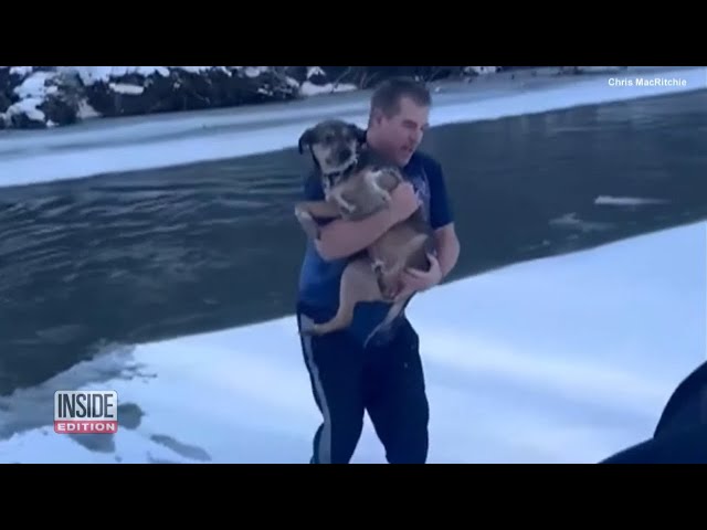 Man Jumps Into Icy River to Save Dog