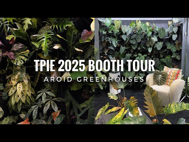 TPIE 2025  Aroid Greenhouses  360 Booth Tour