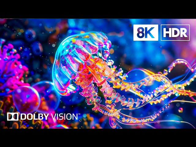 Exotic Sea Creatures in 8K HDR | Dolby Vision™