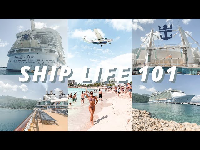 SHIP LIFE 101: how to apply, living conditions, handling stress, salary, etc | vlogmas 2020 day 12