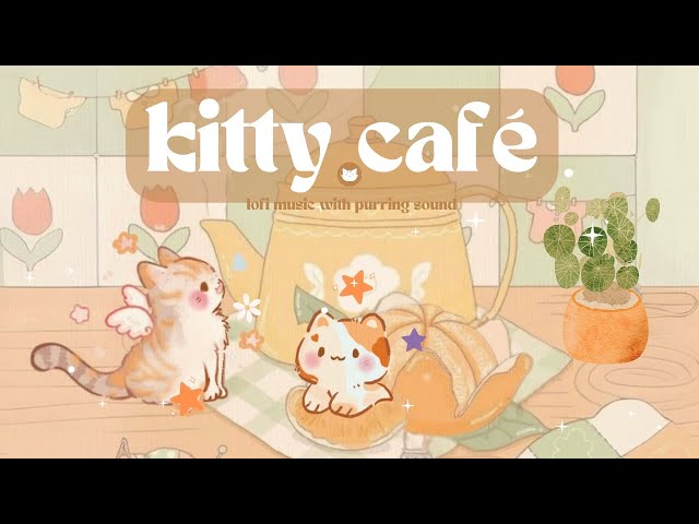 Kitty Café 🌸☕  1 Hour Cute Lofi Playlist 🎧 Purring Sounds 🌈 Chill Vibe 🍀 (Study/Aesthetic/Work)