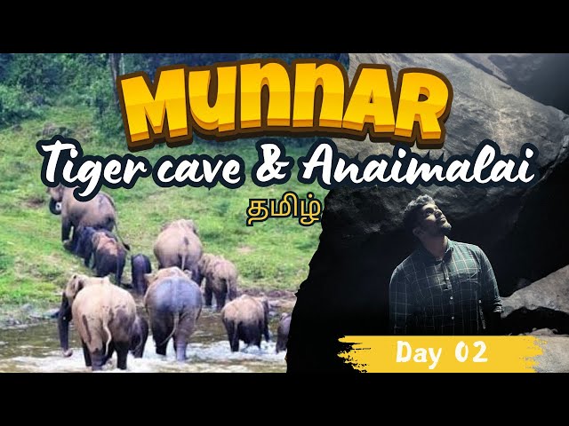 "Exploring Munnar 🤔| Anakulam & Tiger Cave Adventure"😱 | தமிழ் | family | #sombericouple