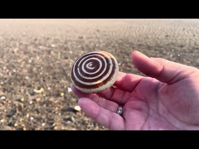 Mudlarking in Scotland