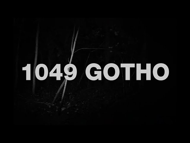 IDLES - 1049 GOTHO (Official Video)