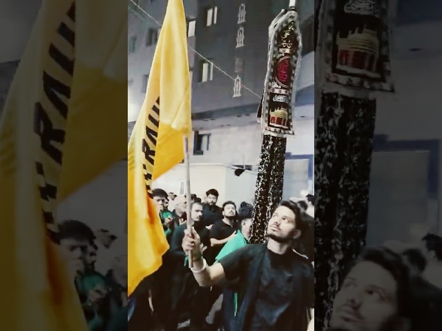 Tu na Aaya Gazi #arbaeen #karbala #iraq #iran #matamdari2024 #majliseaza #20safarchehlumimamhussain