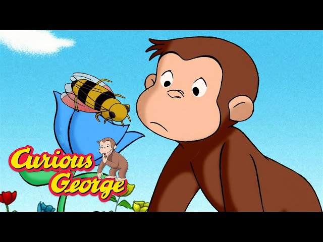 Where Does Honey Come From? 🐵 Curious George 🐵 Kids Cartoon 🐵 Kids Movies