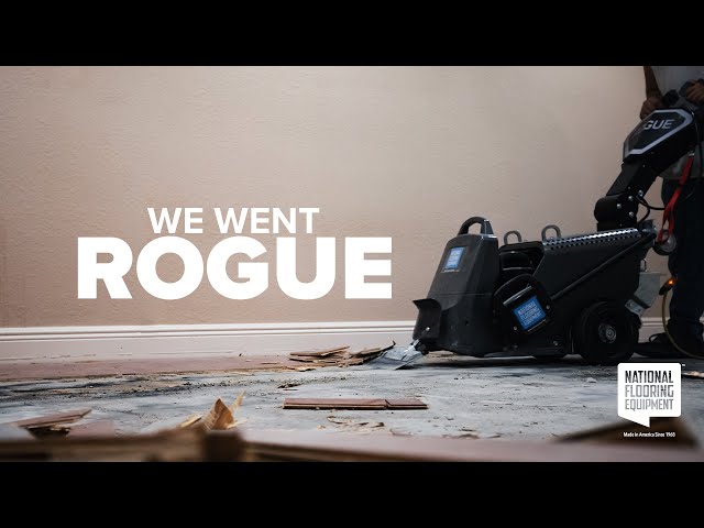 We Went Rogue