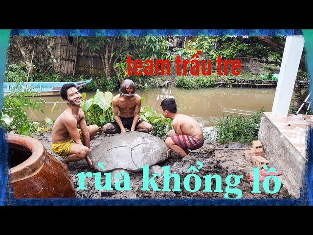 THỬ NẶN CỤ RÙA KHỔNG LỒ Ở HỒ GƯƠM CÙNG TEAM TRẺ TRÂU/RÙA KHỔNG LỒ