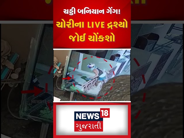 ચડ્ડી બનિયાન ગેંગ! ચોરીના LIVE દ્રશ્યો જોઈ ચોંકશો | Gujarati News | News18 Gujarati | N18S