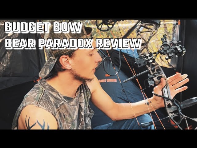 Budget Bow, Bear Paradox Review (With Slight Mods)