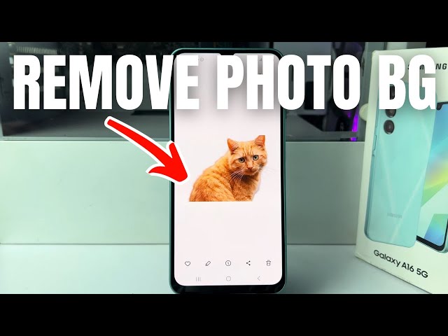 Galaxy A16: How to remove background from photo