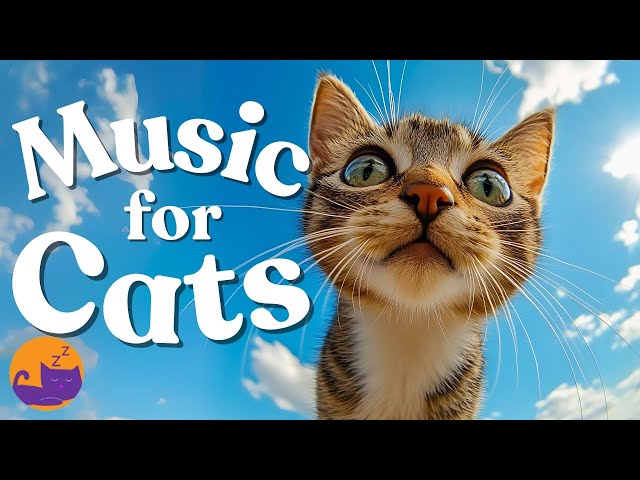 24/7 Soothing Music for Cat Anxiety - Sleepy Cat Songs 💤🐱