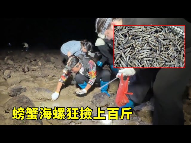 Xiao Yu took his fans to the sea on an unpopulated island. Crabs and conches were everywhere to pic