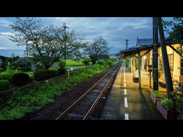 Dawn Walk by Countryside Train Station and Rice Fields | Kasai, Japan 4K Early Morning Ambience