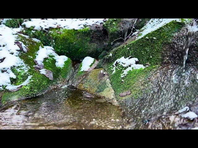 Relax sound. 25 Minutes. Sounds of Nature. Sound of Water 🔲 Relaxing Music. Music For Sleep. Stream