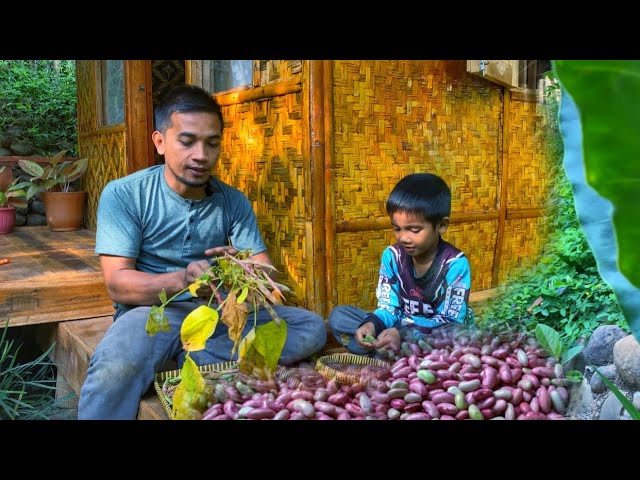 Masakan sederhana & enak di kampung | Akhdan panen kacang bersama Abi | Hidup di Desa