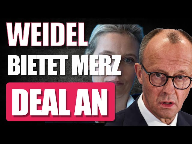 💥 Weidel bietet Merz Deal an in offenem Brief. Für Merz kommt das Angebot zur Unzeit.