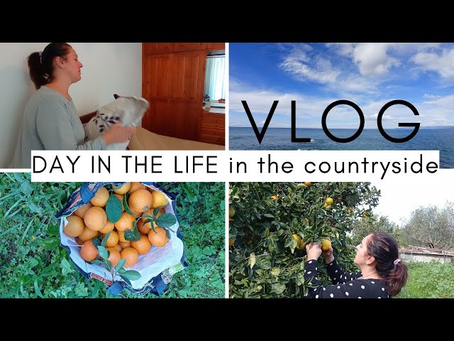 DAY IN THE LIFE in the countryside| VLOG  | Καθημερινότητα στο χωριό | Thalia Home