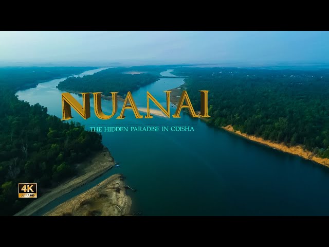 Nuanai: The Hidden Paradise in Odisha! Balukhand | Nuanai nature camp