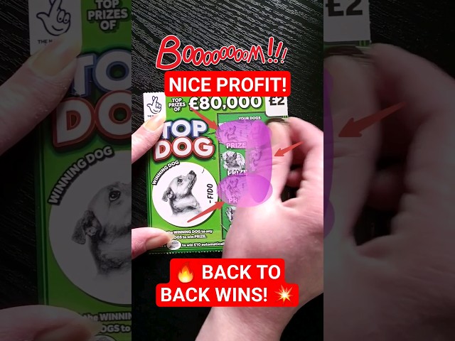 BIG WIN! TOP DOG UK Scratch Card Lottery Scratcher #shorts #scratchcards #lottery #viral #dog #asmr