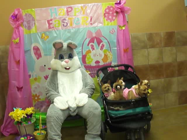 EASTER TIME   OUR BABIES!!!