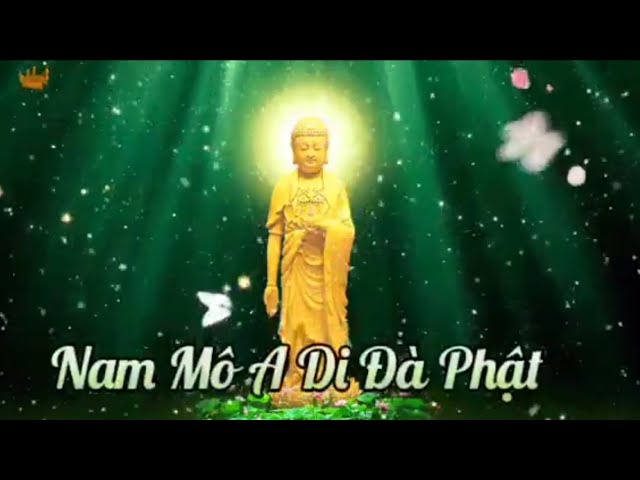 Buddha Recitation Music Body Mind Purity Peace Buddha Recitation Music to Become a Buddha