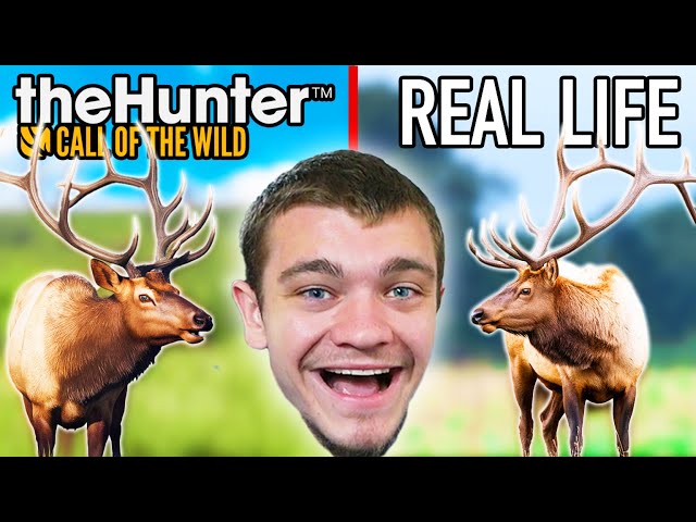 Elk Hunting in Game VS Real Life!